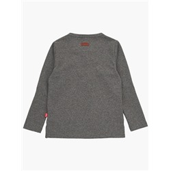 Футболка (лонгслив) UD 2147 граф.меланж