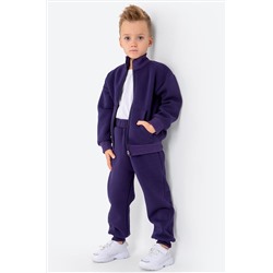 Теплый костюм для мальчика из футера с начесом Happyfox