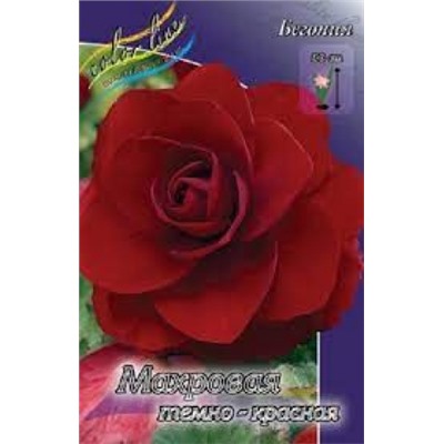 Бегония Махровая Темно-красная 3шт (ИС)