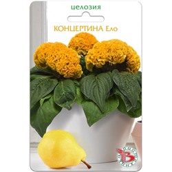 Цв.Целозия Концертина Ело (Био) 8шт