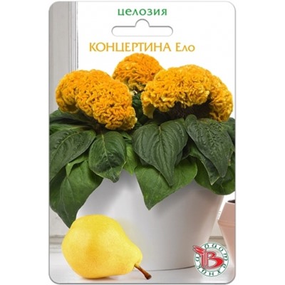 Цв.Целозия Концертина Ело (Био) 8шт