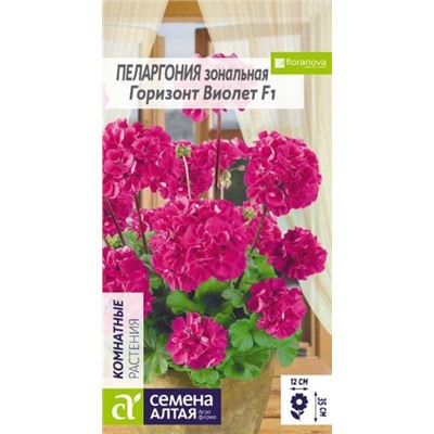 Цв.Пеларгония Горизонт Виолет зональная (Сем.Алтая) 4шт