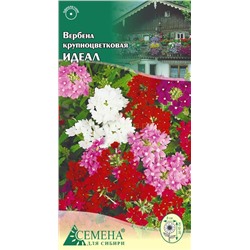 Вербена Идеал крупноцветковая, 0,2г (цв.)