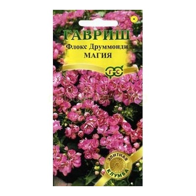 Флокс Магия (Гавр)