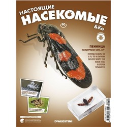 Журнал № 90 "Настоящие насекомые" (Пенница)
