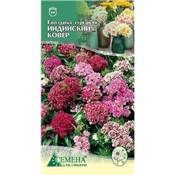 Гвоздика турецкая Индийский ковер,низкоросл. 0,3г (цв.)*