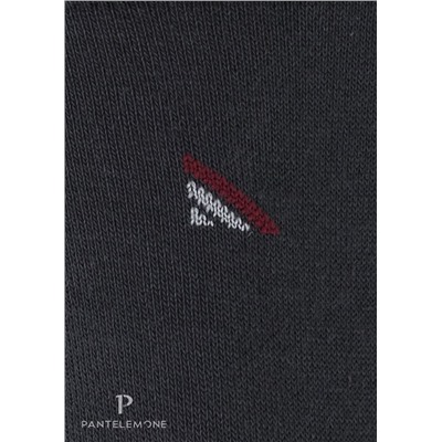 PN-107 (Носки мужские, PanteLemone )