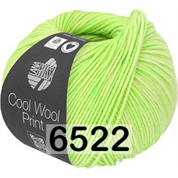 Пряжа Lana Grossa Cool Wool Print