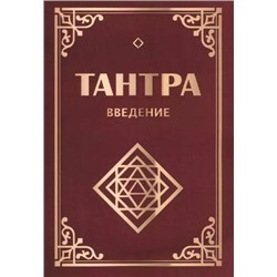 Книга ТАНТРА. Введение. Неаполитанский С.М., Матвеев С.А. (твёрдый переплёт, 336 стр.), 1 шт.