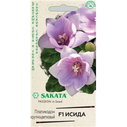 Цв.Платикодон Исида F1 (Гавриш) 4шт