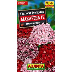 Гвоздика турецкая Макарена F2, смесь (Аэлита)