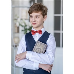 Собачка, бабочка