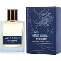 WIND SOUND HURRICANE (Звук Ветра. Ураган) /муж. M~