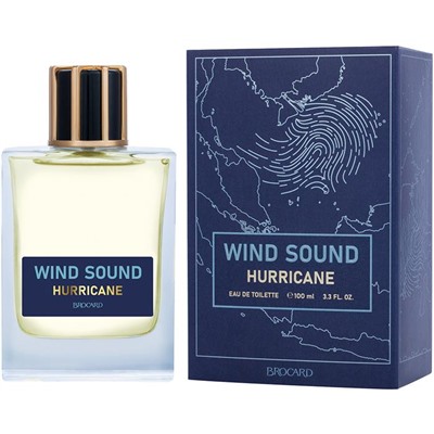 WIND SOUND HURRICANE (Звук Ветра. Ураган) /муж. M~