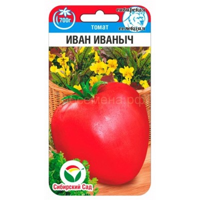 Томат Иван Иваныч (Сиб сад)