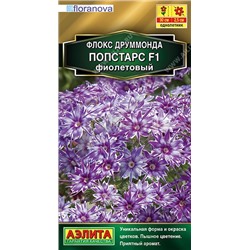 Флокс Попстарс F1 фиолетовый (Аэлита)