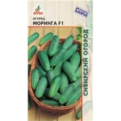 Огурец Моринга F1 (Агрос) 10шт
