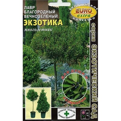 Лавр Экзотика вечнозеленый (Аэлита)