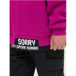 BFNK4297/2 (Толстовка для мальчика, Pelican Outlet )