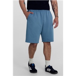 Шорты мужские MARK FORMELLE #1042961