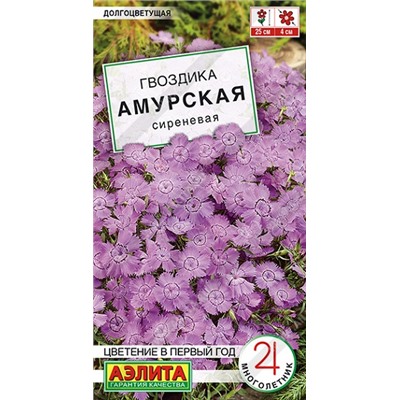 Гвоздика Амурская сиреневая (Код: 92419)