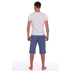 Мужские шорты Алекс (46-56)