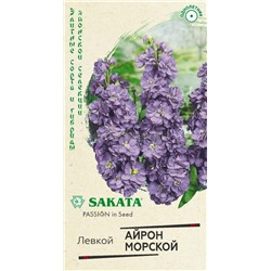 Левкой Айрон морской махровый (Гавр)