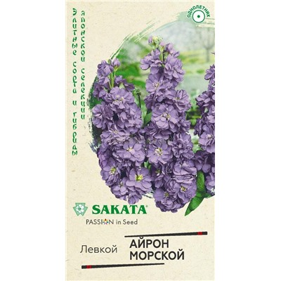 Левкой Айрон морской махровый (Гавр)