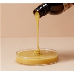 Укрепляющий восстанавливающий шампунь с имбирем Bioaqua Ginger Essence, 250 мл.