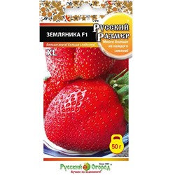 Земляника  Русский размер F1 (НК)