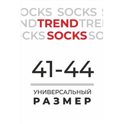 Носки CLEVER #752517