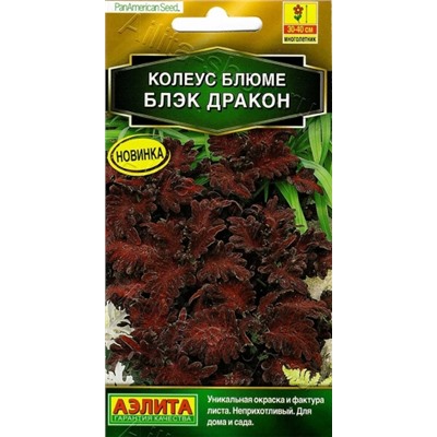 Цв.Колеус Блюме Блэк дракон (Аэлита) 5шт