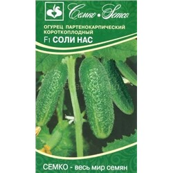 Огурец Соли нас (Салинас) (С)