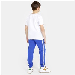 Трико Лампас футер