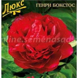 Пион Генри Бокстос трав.1шт (Поиск)