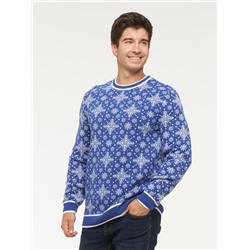 Джемпер мужской 222-12325