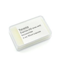 Зубы акулы "Turania" 3шт. в блистерной упаковке