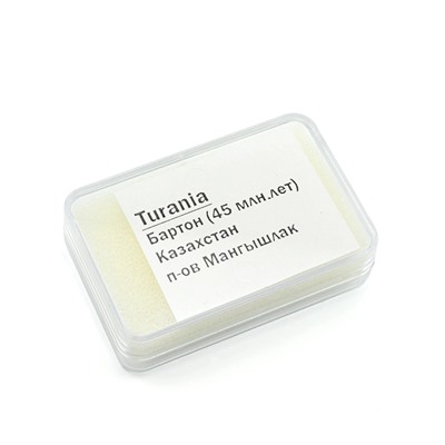 Зубы акулы "Turania" 3шт. в блистерной упаковке
