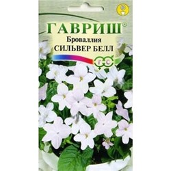 Броваллия Сильвер Белл (Гавр)