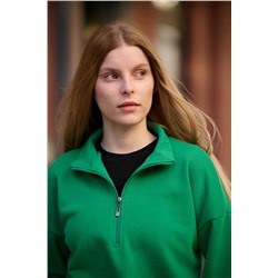 толстовка 3527-10