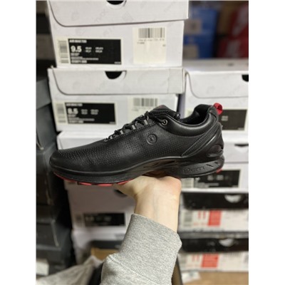 ecco colour description