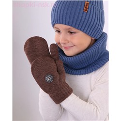 251-TM Варежки для мальчика (14 (5-6 лет))