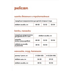 Шапка PELICAN #963547