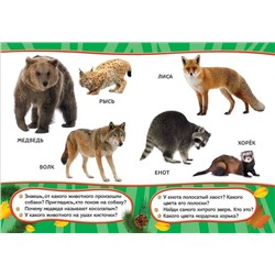 Хищники. Всё-всё-все для малышей