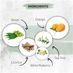 ANTI-PIMPLE TEA TREE NEEM Face Wash, Luster (Гель для умывания ПРОТИВ ПРЫЩЕЙ с маслом чайного дерева и нимом, Ластер), 100 мл.