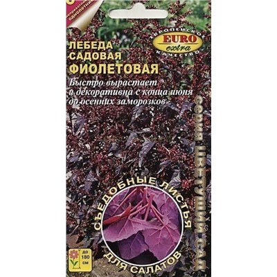 Лебеда садовая Фиолетовая (Аэлита)