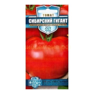 Томат Сибирский гигант (Гавр)