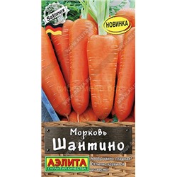 Морковь Шантино (Аэлита)