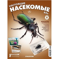 Журнал №37 "Настоящие насекомые" (Красотел)
