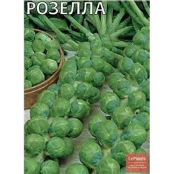 Капуста Брюссельская Розелла (УД) 0,3г